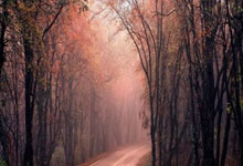 开云下载-尤文绝杀国米4:4，德布劳内关键助攻意甲