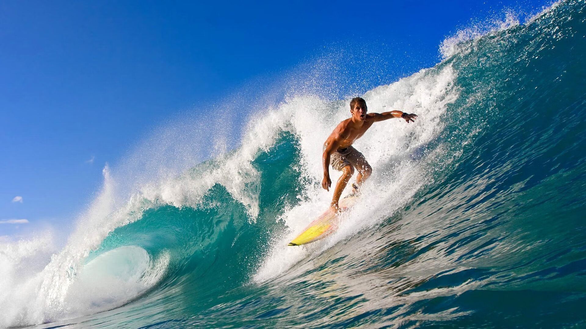 绝杀与接管，深圳到密尔沃基的胜利基因